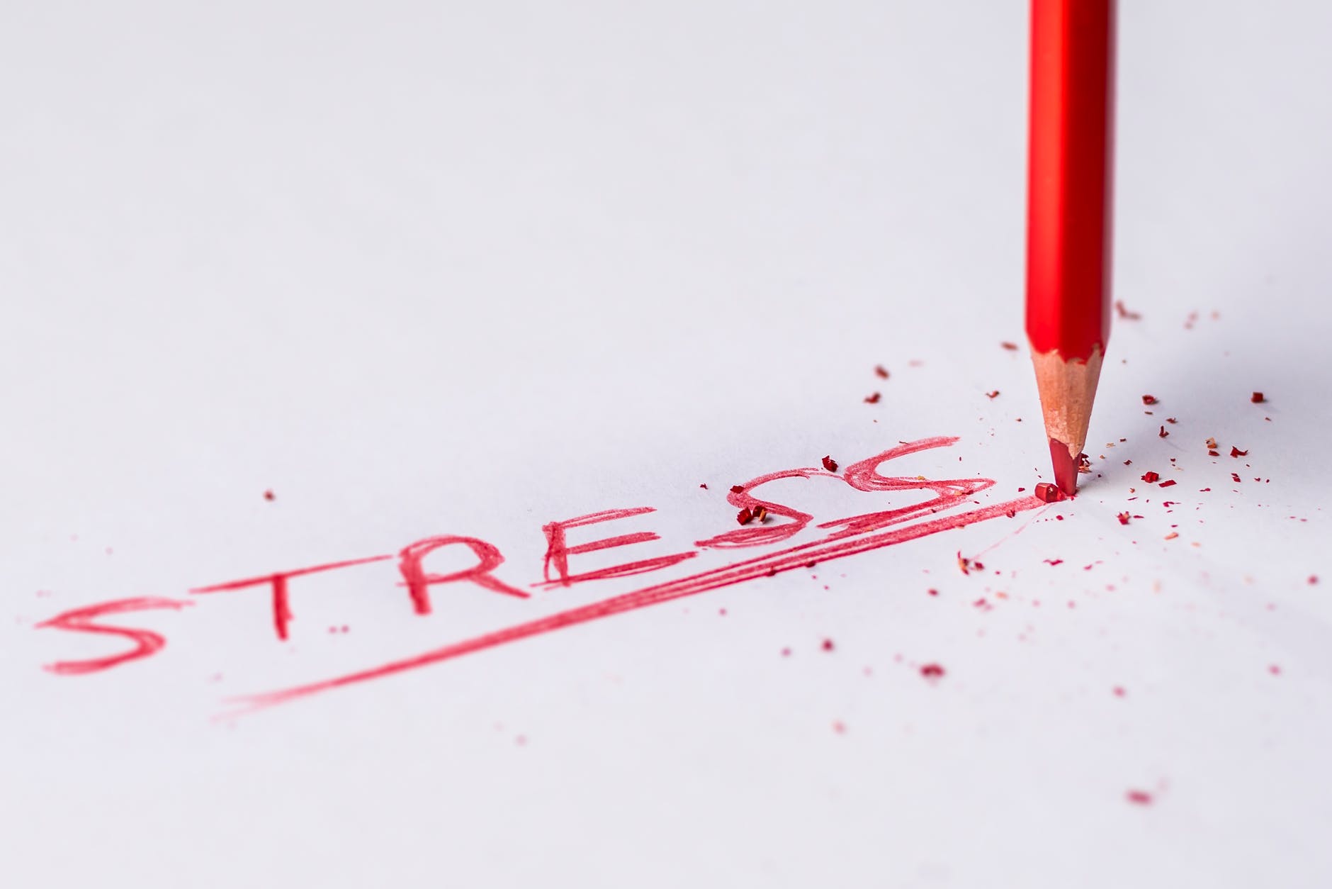 Stresin Çocuğunuzun Beynine Etkisi